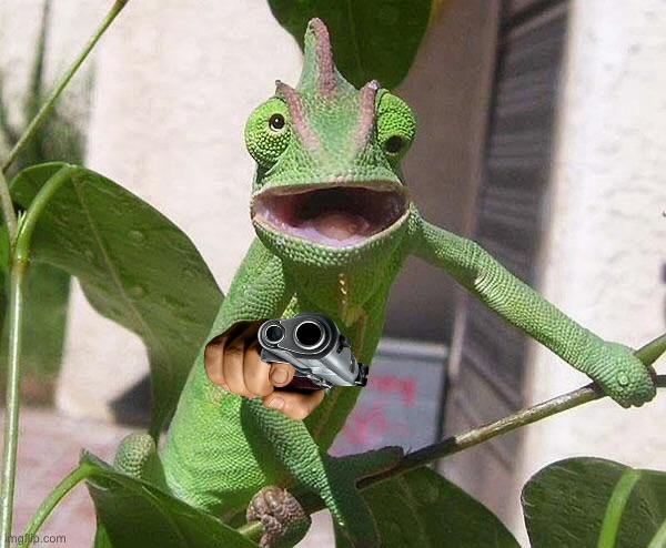 Crazy Chameleon | image tagged in crazy chameleon | made w/ Imgflip meme maker