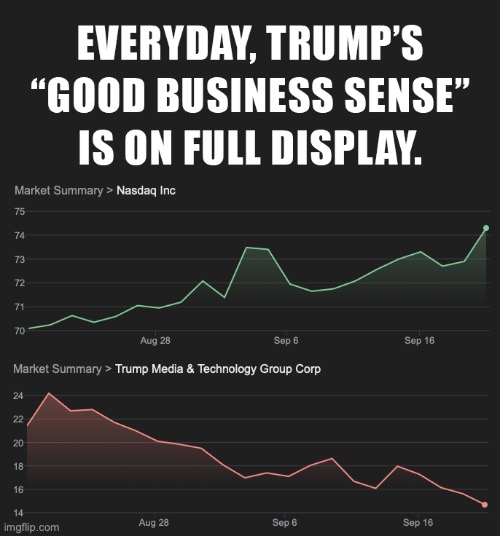 Trump's Business Sense | image tagged in donald trump,stock market,maga,truth | made w/ Imgflip meme maker