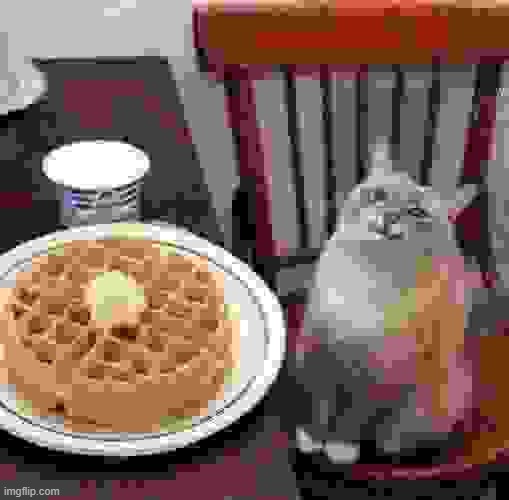 vafliai | image tagged in vinny x theyesninja | made w/ Imgflip meme maker