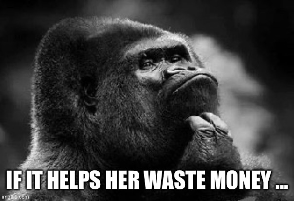 thinking monkey | IF IT HELPS HER WASTE MONEY … | image tagged in thinking monkey | made w/ Imgflip meme maker