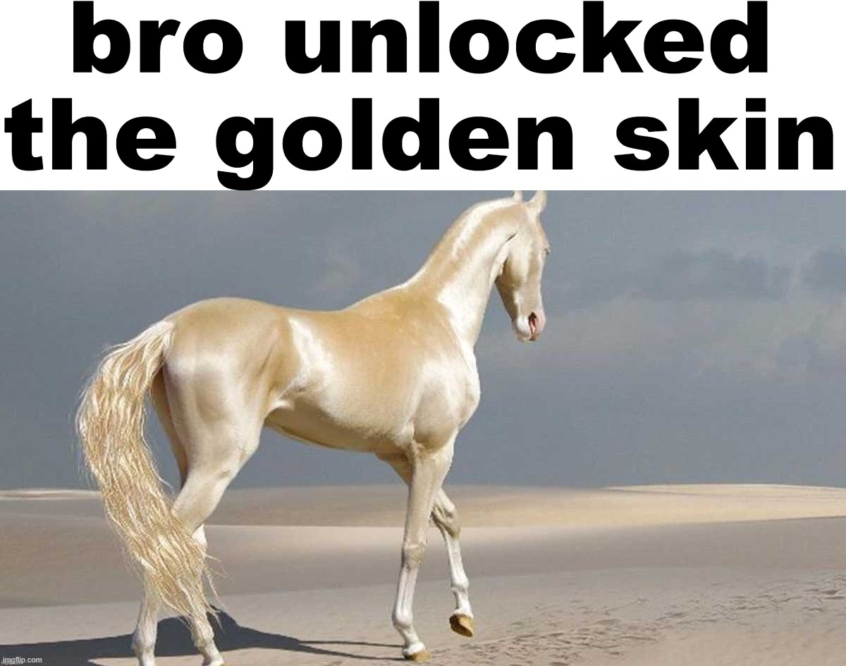 bro unlocked the golden skin | image tagged in bro unlocked the golden skin | made w/ Imgflip meme maker