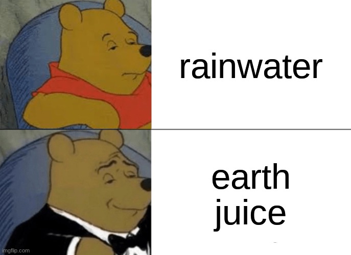 free Avgolemono | rainwater; earth juice | image tagged in memes,tuxedo winnie the pooh | made w/ Imgflip meme maker