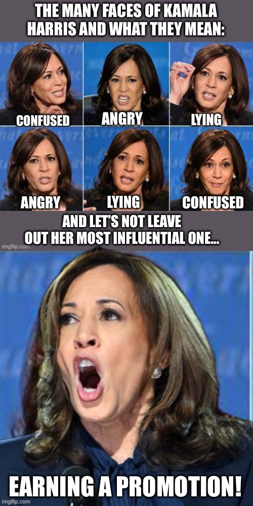 The many faces of Kamala Harris | LYING; CONFUSED; ANGRY | image tagged in kamala harris | made w/ Imgflip meme maker