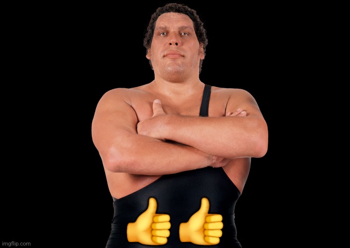 Andre the Giant | 👍👍 | image tagged in memes,wwe,andre the giant | made w/ Imgflip meme maker