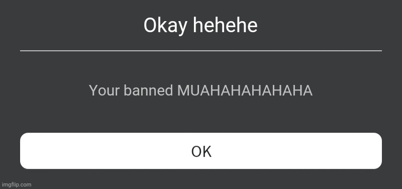 Why bro | Okay hehehe; Your banned MUAHAHAHAHAHA | image tagged in roblox error message | made w/ Imgflip meme maker