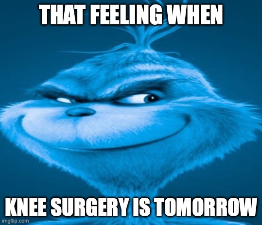 I kneed my knee... | THAT FEELING WHEN; KNEE SURGERY IS TOMORROW | image tagged in the blue grinch | made w/ Imgflip meme maker