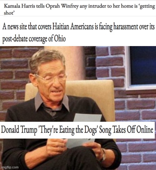 image tagged in memes,maury lie detector | made w/ Imgflip meme maker