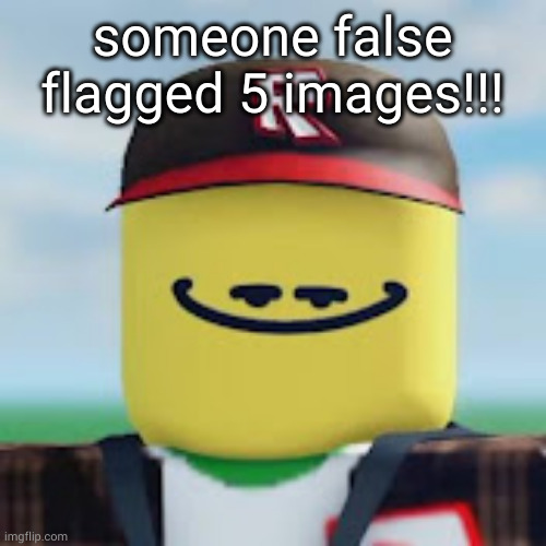 I didn't accept the flags | someone false flagged 5 images!!! | image tagged in kamguyza | made w/ Imgflip meme maker