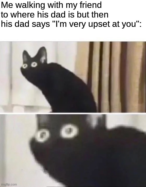 Made a meme with the same image but I have a better one now | Me walking with my friend to where his dad is but then his dad says "I'm very upset at you": | image tagged in oh no black cat | made w/ Imgflip meme maker