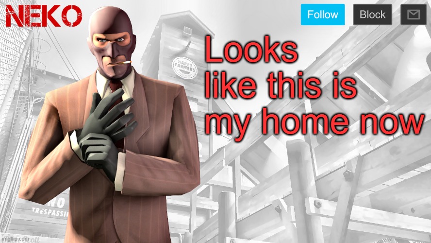 Neko Spy template | Looks like this is my home now | image tagged in neko spy template | made w/ Imgflip meme maker