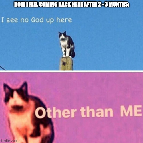 Hail pole cat | HOW I FEEL COMING BACK HERE AFTER 2 - 3 MONTHS: | image tagged in hail pole cat | made w/ Imgflip meme maker