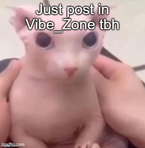 bingus | Just post in Vibe_Zone tbh | image tagged in bingus | made w/ Imgflip meme maker