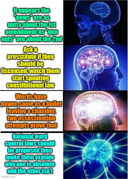 We need presstitute control laws | It appears the "news" are as nutty about the 1st amendment as "gun nuts" are about the 2nd; Ask a presstitute if they should be liscensed, watch them start spouting constitutional law; Words have power, same as a bullet leaving a chamber, two assassination attempts prove that; National word control laws should be proposed then make them explain why one is absolute and the other isn't | image tagged in trump,maga,kamala harris,fake news,first amendment,second amendment | made w/ Imgflip meme maker