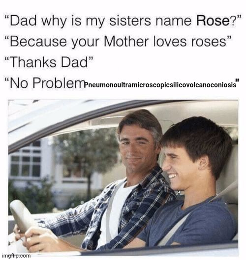 Pneumonoultramicroscopicsilicovolcanoconiosis : Okay dad i can say Supercalifragilisticexpialidocious and Antidisestablishmentar | Pneumonoultramicroscopicsilicovolcanoconiosis | image tagged in why is my sister's name rose | made w/ Imgflip meme maker