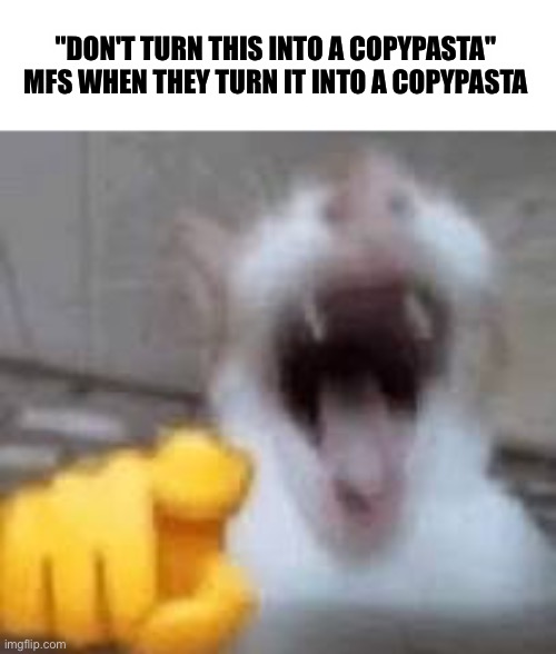 Cat Laughing | "DON'T TURN THIS INTO A COPYPASTA" MFS WHEN THEY TURN IT INTO A COPYPASTA | image tagged in cat laughing | made w/ Imgflip meme maker