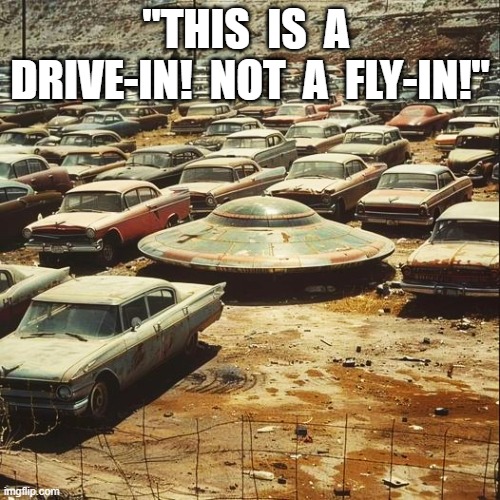 Drive In Rules | "THIS  IS  A  DRIVE-IN!  NOT  A  FLY-IN!" | image tagged in drivers | made w/ Imgflip meme maker