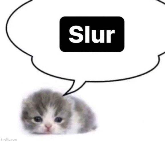 Slur | made w/ Imgflip meme maker