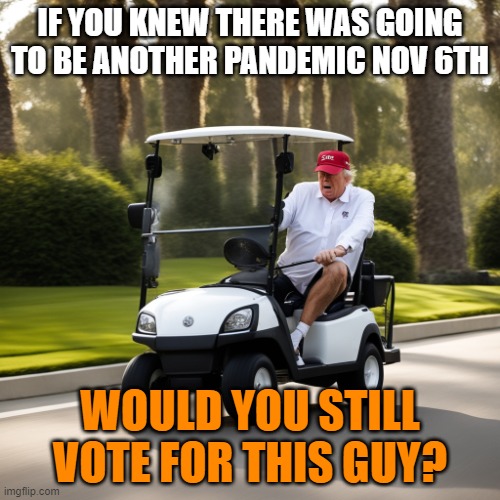 President that spent the most time ever Golfing (even through Pandemic) | IF YOU KNEW THERE WAS GOING TO BE ANOTHER PANDEMIC NOV 6TH; WOULD YOU STILL VOTE FOR THIS GUY? | made w/ Imgflip meme maker