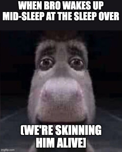 haha sleepover | WHEN BRO WAKES UP MID-SLEEP AT THE SLEEP OVER; (WE'RE SKINNING HIM ALIVE] | image tagged in donkey stare | made w/ Imgflip meme maker