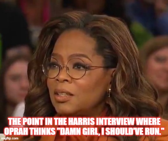 Damn Girl | THE POINT IN THE HARRIS INTERVIEW WHERE OPRAH THINKS "DAMN GIRL, I SHOULD'VE RUN." | image tagged in oprah,kamala harris,democrats | made w/ Imgflip meme maker