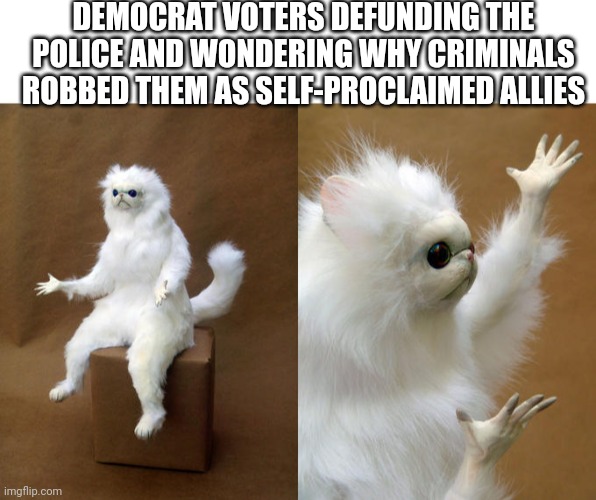 DEMOCRAT VOTERS DEFUNDING THE POLICE AND WONDERING WHY CRIMINALS ROBBED THEM AS SELF-PROCLAIMED ALLIES | image tagged in blank white template,memes,persian cat room guardian | made w/ Imgflip meme maker