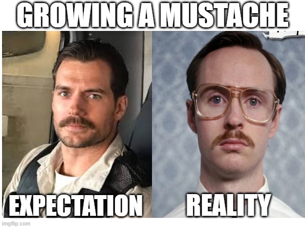 Mustache | GROWING A MUSTACHE; REALITY; EXPECTATION | image tagged in mustache,kip napoleon dynamite,henry cavill | made w/ Imgflip meme maker