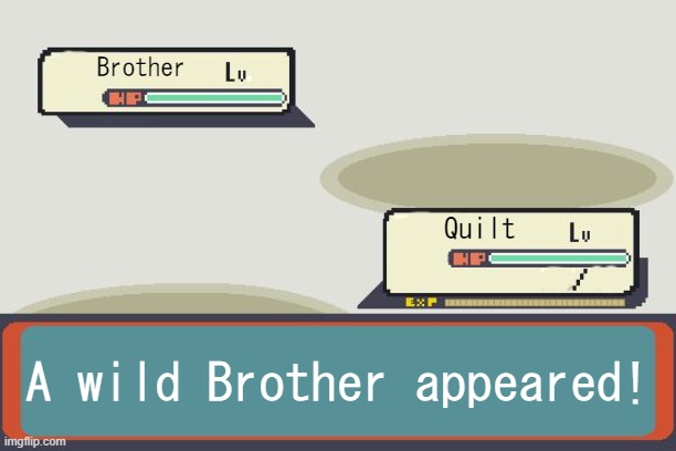 Pokemon Battle | Brother Quilt A wild Brother appeared! | image tagged in pokemon battle | made w/ Imgflip meme maker