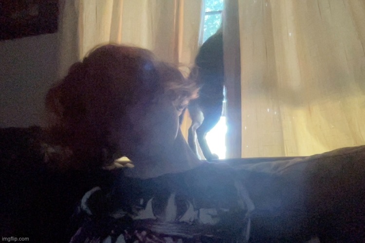 window Katze | made w/ Imgflip meme maker