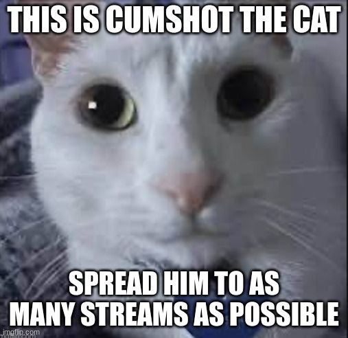 rtjjdfnhxgvjohbscgrdfjhvbfhjrfcdjlsbgjvjhbsrhdf | THIS IS CUMSHOT THE CAT; SPREAD HIM TO AS MANY STREAMS AS POSSIBLE | image tagged in jyhgfhj,yuhbf,gfhbyh,tfg,fhjb,yhgfh | made w/ Imgflip meme maker