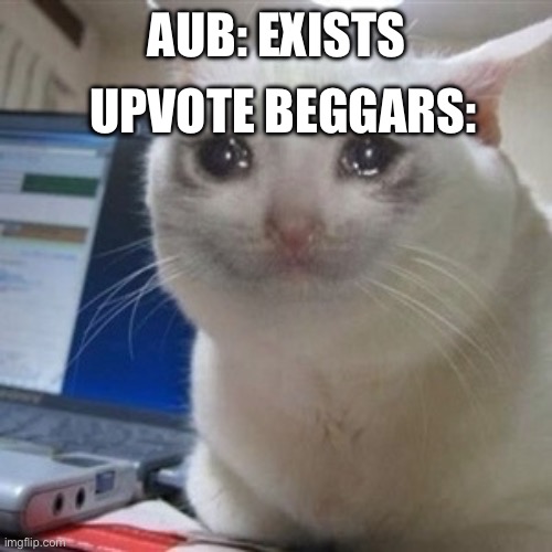 Yeh | UPVOTE BEGGARS:; AUB: EXISTS | image tagged in crying cat,fun,memes | made w/ Imgflip meme maker