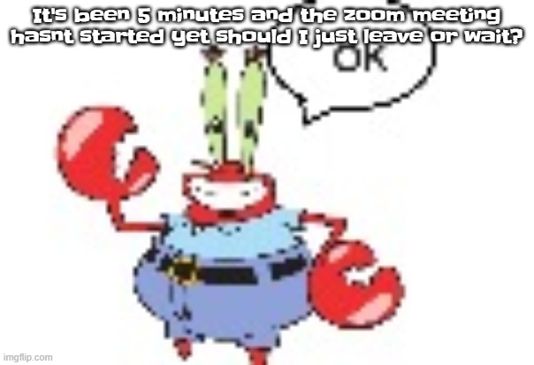 ok | It's been 5 minutes and the zoom meeting hasnt started yet should I just leave or wait? | image tagged in ok | made w/ Imgflip meme maker