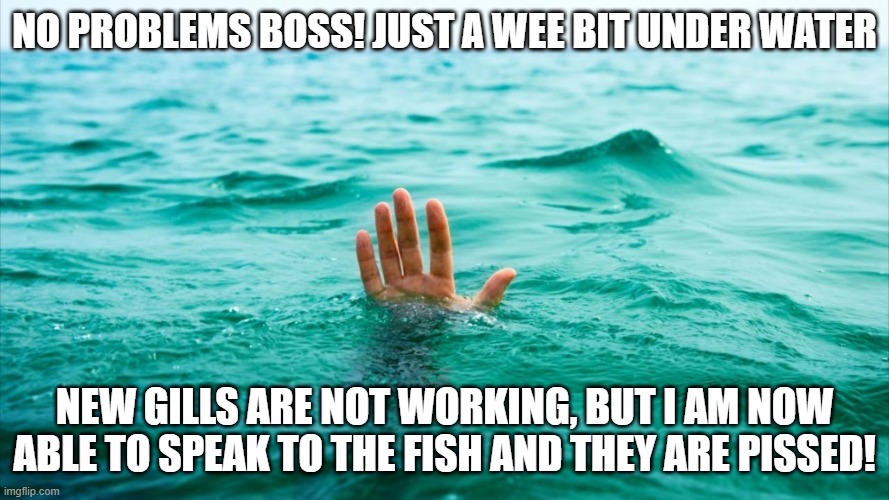 Over my head | NO PROBLEMS BOSS! JUST A WEE BIT UNDER WATER; NEW GILLS ARE NOT WORKING, BUT I AM NOW ABLE TO SPEAK TO THE FISH AND THEY ARE PISSED! | image tagged in overwhelmed | made w/ Imgflip meme maker