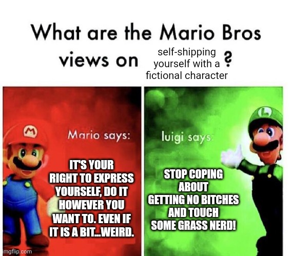 Mario Bros Views | self-shipping yourself with a fictional character; IT'S YOUR RIGHT TO EXPRESS YOURSELF, DO IT HOWEVER YOU WANT TO. EVEN IF IT IS A BIT...WEIRD. STOP COPING ABOUT GETTING NO BITCHES AND TOUCH SOME GRASS NERD! | image tagged in mario bros views,shipping,self shipping,nerd,simp | made w/ Imgflip meme maker