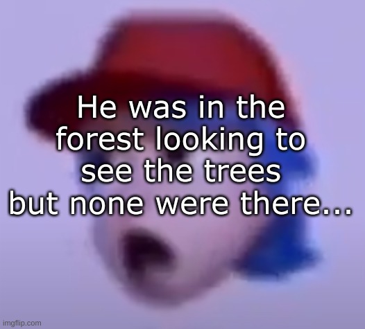 If yk yk | He was in the forest looking to see the trees but none were there... | image tagged in what the silly billy | made w/ Imgflip meme maker