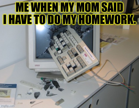 Broken computer | ME WHEN MY MOM SAID I HAVE TO DO MY HOMEWORK. | image tagged in broken computer | made w/ Imgflip meme maker