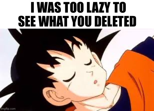 I WAS TOO LAZY TO SEE WHAT YOU DELETED | made w/ Imgflip meme maker