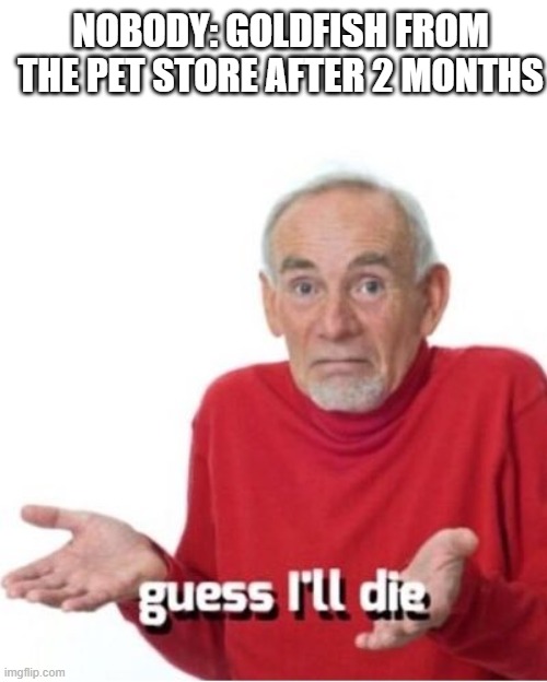 Guess I'll die | NOBODY: GOLDFISH FROM THE PET STORE AFTER 2 MONTHS | image tagged in guess i'll die | made w/ Imgflip meme maker