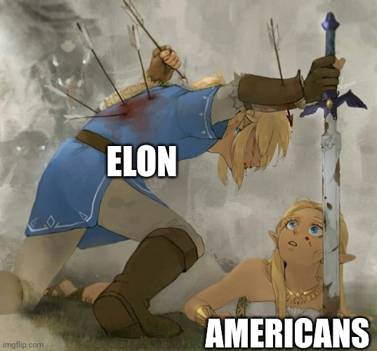 Link and zelda | ELON AMERICANS | image tagged in link and zelda | made w/ Imgflip meme maker