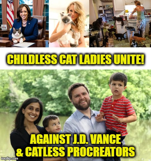A country run by childless cat ladies | CHILDLESS CAT LADIES UNITE! AGAINST J.D. VANCE
& CATLESS PROCREATORS | image tagged in democrats | made w/ Imgflip meme maker