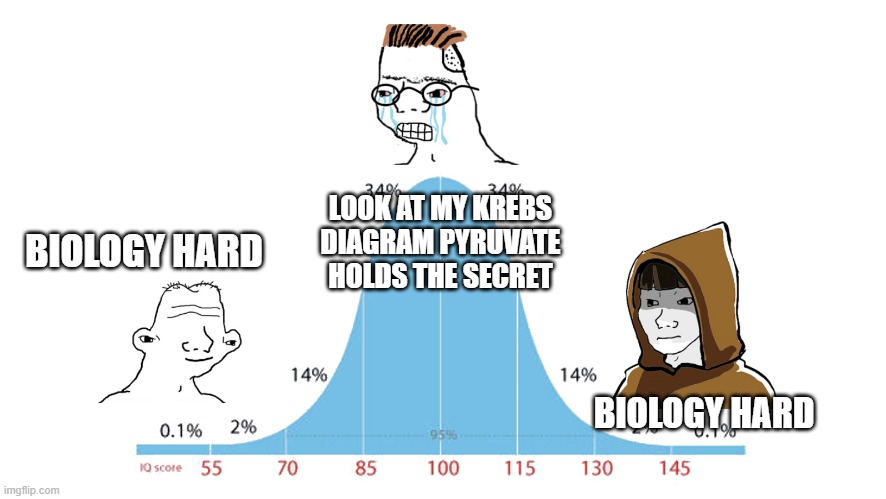 Nutrition bro scientists who think they're smarter than PhDs | LOOK AT MY KREBS
DIAGRAM PYRUVATE HOLDS THE SECRET; BIOLOGY HARD; BIOLOGY HARD | image tagged in midwit memes | made w/ Imgflip meme maker