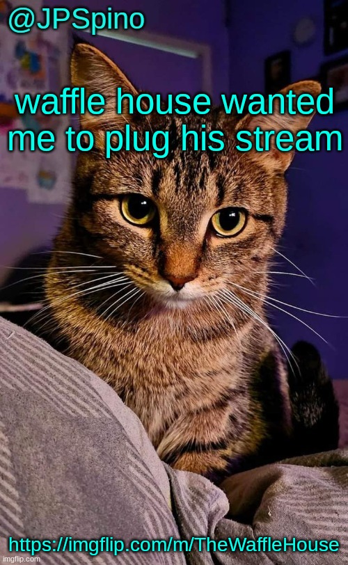 JPSpino's cat temp | waffle house wanted me to plug his stream; https://imgflip.com/m/TheWaffleHouse | image tagged in jpspino's cat temp | made w/ Imgflip meme maker