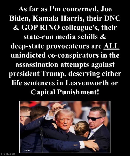 In my personal opinion... | image tagged in donald trump,assassination,democrats,government corruption,politics | made w/ Imgflip meme maker