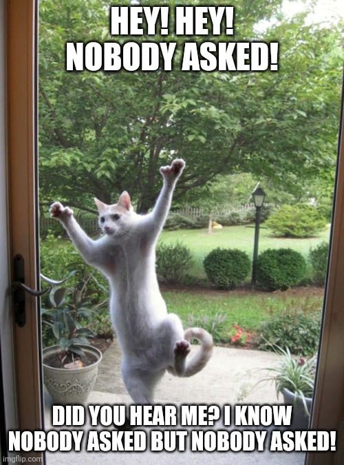 Attention Whore Cat | HEY! HEY! NOBODY ASKED! DID YOU HEAR ME? I KNOW
NOBODY ASKED BUT NOBODY ASKED! | image tagged in attention whore cat | made w/ Imgflip meme maker