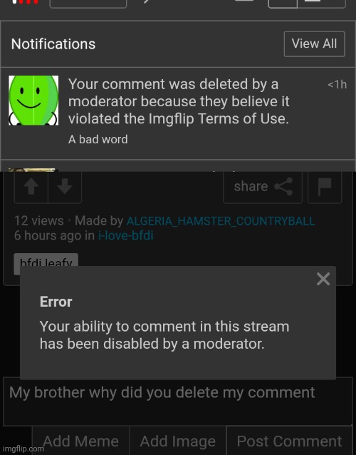 My bad I got banned for commenting something horribly rude | made w/ Imgflip meme maker