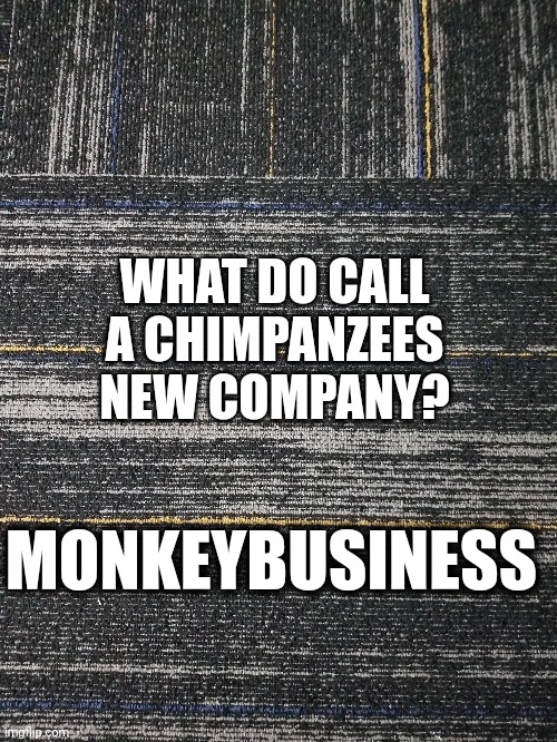 MONKEYBUSINESS WHAT DO CALL A CHIMPANZEES NEW COMPANY? | made w/ Imgflip meme maker