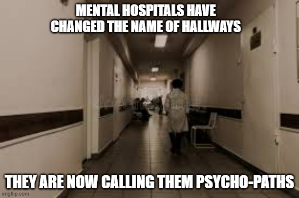 memes by Brad - mental hospitals are now calling hallways psycho-paths | MENTAL HOSPITALS HAVE CHANGED THE NAME OF HALLWAYS; THEY ARE NOW CALLING THEM PSYCHO-PATHS | image tagged in funny,fun,play on words,psychology,hospital,humor | made w/ Imgflip meme maker