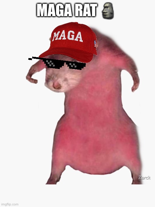 Maga rat ? | MAGA RAT 🗿 | image tagged in ratz | made w/ Imgflip meme maker