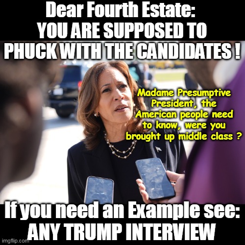 There was a time, it was actually their function | Dear Fourth Estate: 
YOU ARE SUPPOSED TO PHUCK WITH THE CANDIDATES ! Madame Presumptive President, the American people need to know, were you brought up middle class ? If you need an Example see:
ANY TRUMP INTERVIEW | image tagged in soft ball kamala questions meme | made w/ Imgflip meme maker