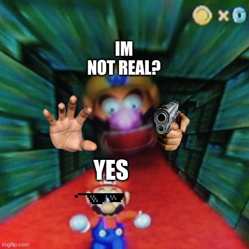 Personalized Mario 64 | IM NOT REAL? YES | image tagged in personalized mario 64 | made w/ Imgflip meme maker