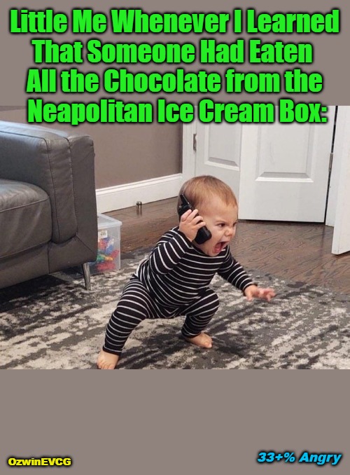 33+% Angry | Little Me Whenever I Learned 

That Someone Had Eaten  

All the Chocolate from the 

Neapolitan Ice Cream Box:; 33+% Angry; OzwinEVCG | image tagged in psychologistkid,say what,dessert,anger,toddlers,family life | made w/ Imgflip meme maker